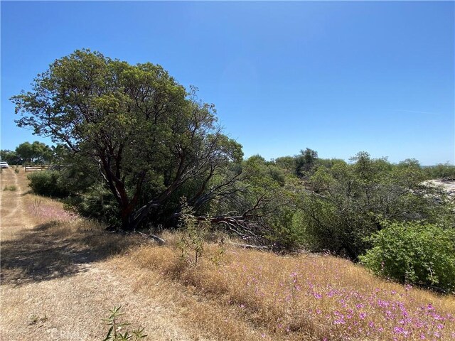038.31AC Flying O Ranch Rd, Coarsegold, CA 93614 - photo 17