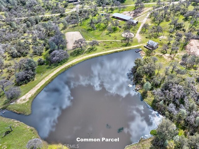 038.31AC Flying O Ranch Rd, Coarsegold, CA 93614 - photo 23