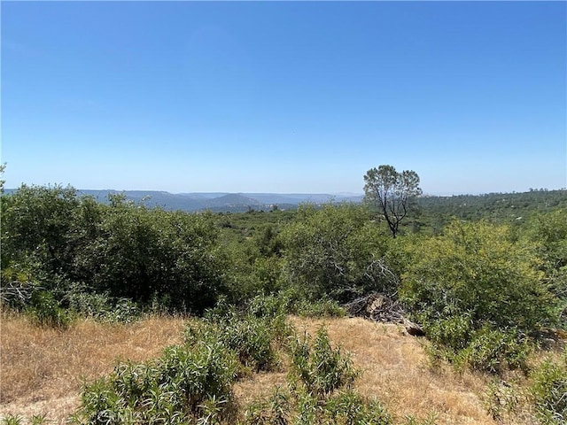 038.31AC Flying O Ranch Rd, Coarsegold, CA 93614 - photo 15