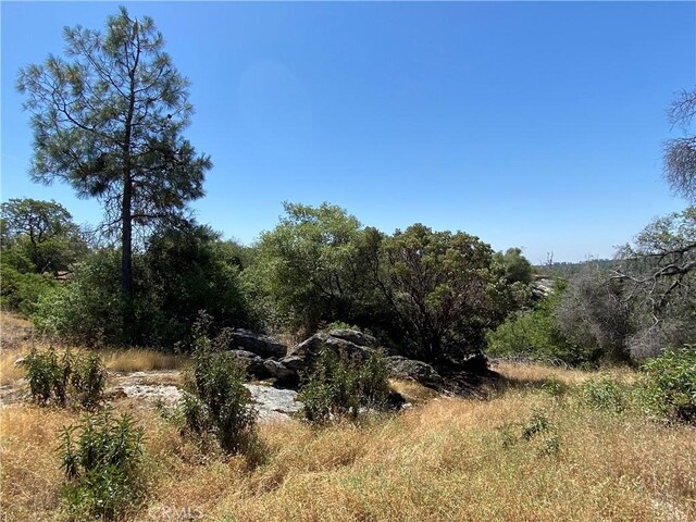 038.31AC Flying O Ranch Rd, Coarsegold, CA 93614 - photo 20