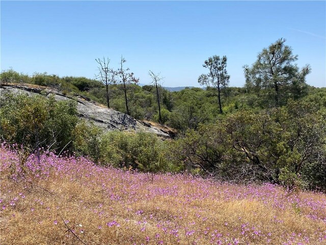 038.31AC Flying O Ranch Rd, Coarsegold, CA 93614 - photo 4