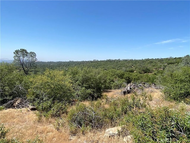 038.31AC Flying O Ranch Rd, Coarsegold, CA 93614 - photo 16