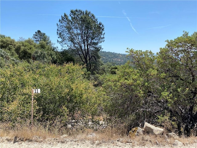 038.31AC Flying O Ranch Rd, Coarsegold, CA 93614 - photo 14