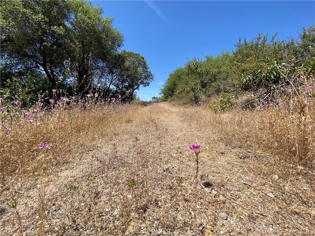 038.31AC Flying O Ranch Rd, Coarsegold, CA 93614 - photo 10