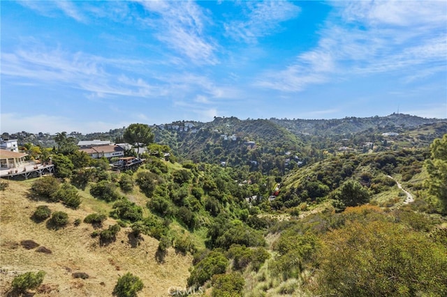 2377 Mount Olympus Dr, Los Angeles, CA 90046 - photo 40