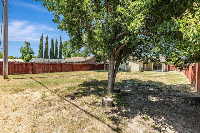 5712 Tupelo Dr, Sacramento, CA 95842 - view of yard