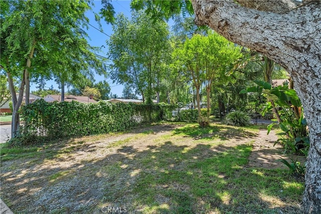5919 Cantaloupe Ave, Valley Glen, CA 91401 - view of yard