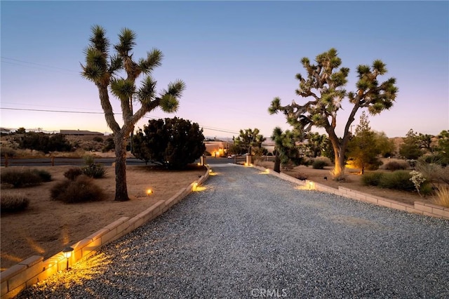 58916 Carmelita Cir, Yucca Valley, CA 92284 - view of dirt / gravel driveway