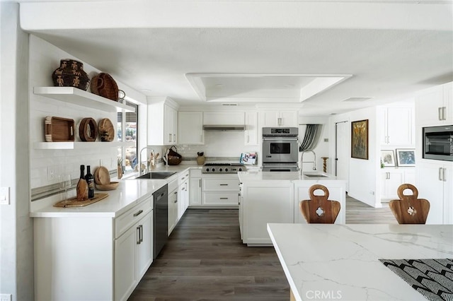 58916 Carmelita Cir, Yucca Valley, CA 92284 - kitchen featuring a sink, open shelves, a tray ceiling, and appliances with stainless steel finishes