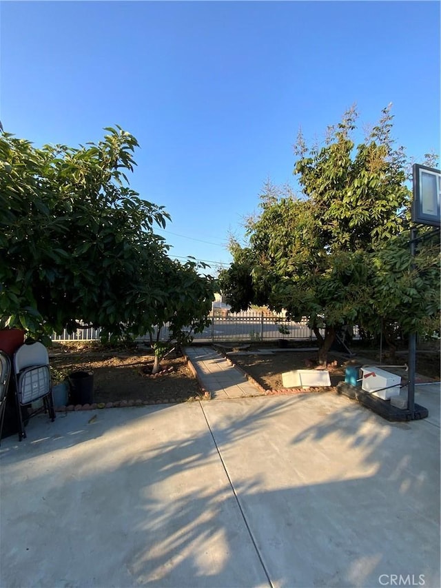 12536 Fineview St, El Monte, CA 91732 - view of property hidden behind natural elements with a patio area