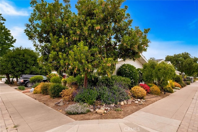 303 N Waverly St, Orange, CA 92866 - photo 8