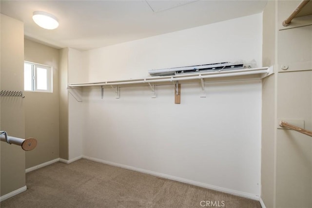 44035 Cindy Cir, Temecula, CA 92592 - walk in closet with carpet floors