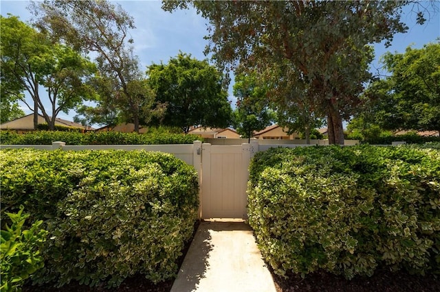 26629 Calle Gregorio, Menifee, CA 92585 - view of yard featuring a gate