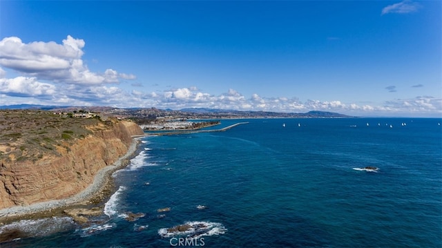 33212 Blue Fin Dr, Dana Point, CA 92629 - photo 52