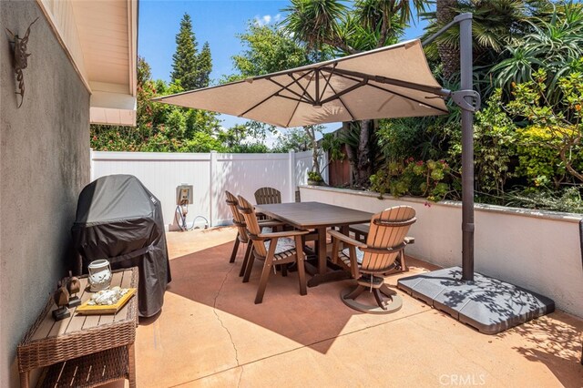 33212 Blue Fin Dr, Dana Point, CA 92629 - photo 38