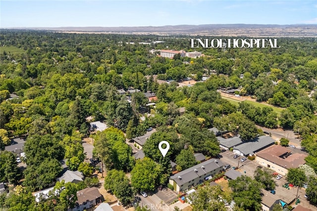 1170 Hobart St, Chico, CA 95926 - aerial view of a forest