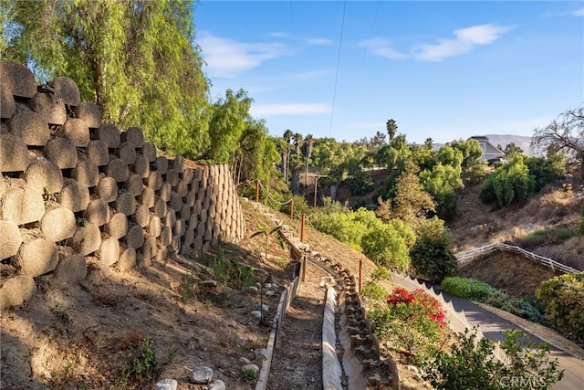 10 Strawberry Ln, San Juan Capistrano, CA 92675 - view of yard