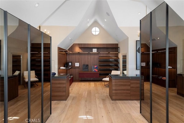 10 Strawberry Ln, San Juan Capistrano, CA 92675 - bedroom featuring high vaulted ceiling and light wood-style flooring