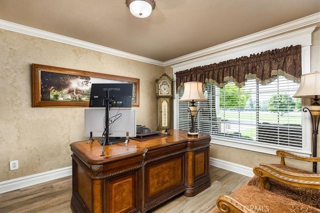 30026 Santiago Rd, Temecula, CA 92592 - office area featuring crown molding and wood finished floors