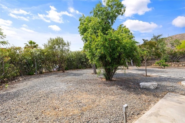 27130 Blue Hill Dr, Menifee, CA 92586 - view of yard