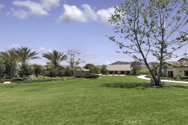 67 Galan St, Rancho Mission Viejo, CA 92694 - view of green lawn