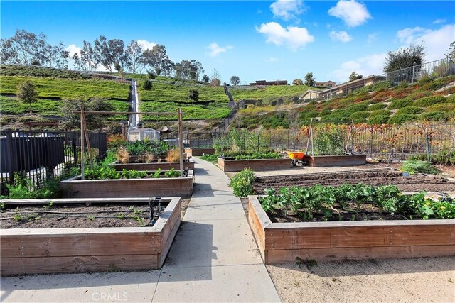 67 Galan St, Rancho Mission Viejo, CA 92694 - view of property's community featuring a garden