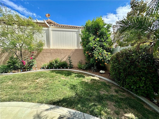 5836 Indian Canyon Dr, Banning, CA 92220 - view of yard