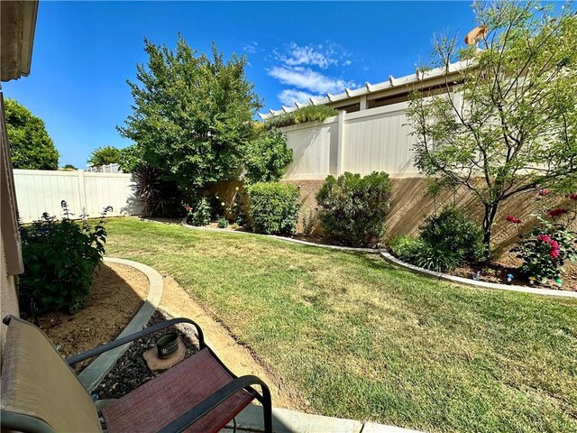 5836 Indian Canyon Dr, Banning, CA 92220 - view of yard
