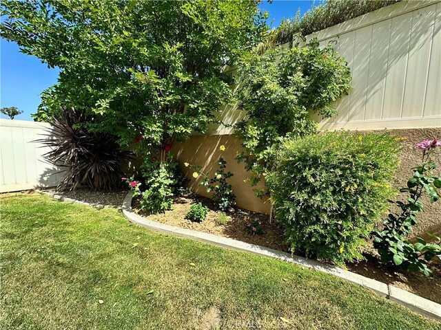 5836 Indian Canyon Dr, Banning, CA 92220 - view of yard