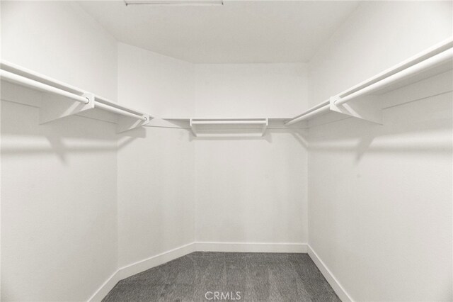 12573 Brickellia St, San Diego, CA 92129 - spacious closet with dark colored carpet