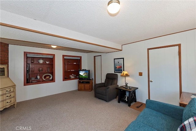 535 Pioneer Rd, Lake Arrowhead, CA 92352 - living area with carpet floors and a textured ceiling
