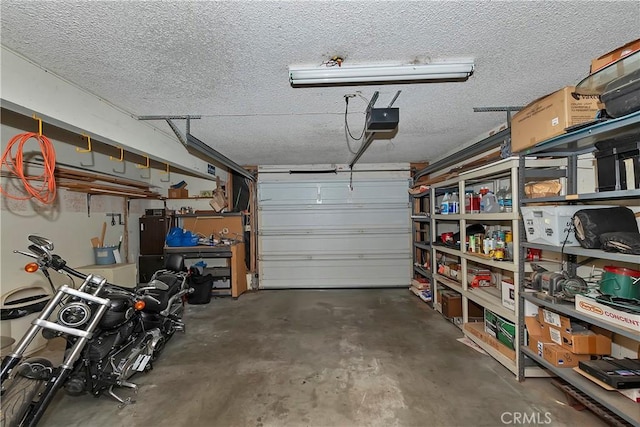 535 Pioneer Rd, Lake Arrowhead, CA 92352 - garage with a garage door opener