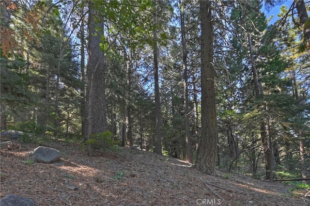 24091 Lakeview Dr, Crestline, CA 92325 - view of tree filled area
