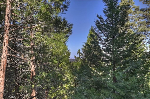 24091 Lakeview Dr, Crestline, CA 92325 - view of tree filled area