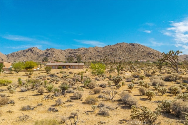 1234 Pueblo Trl, Joshua Tree, CA 92252