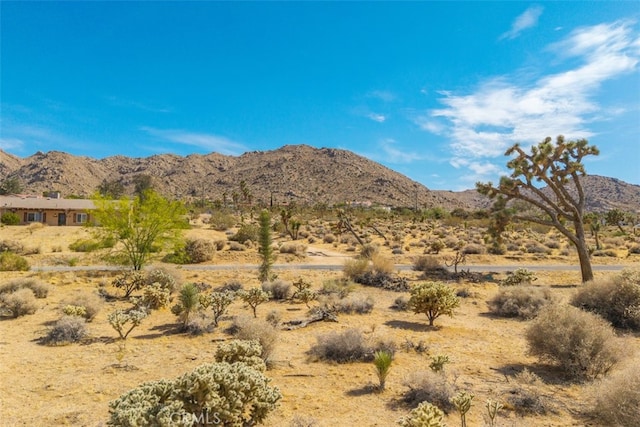 1234 Pueblo Trl, Joshua Tree, CA 92252