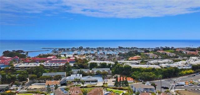 33772 Copper Lantern St Unit B, Dana Point, CA 92629 - drone / aerial view of a large body of water