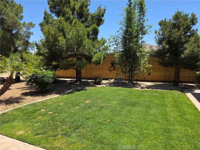 42036 Desert Sage Ave, Lancaster, CA 93536 - view of yard
