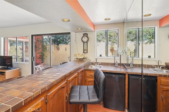 537 3rd St, Manhattan Beach, CA 90266 - indoor wet bar featuring dishwasher, a textured ceiling, and recessed lighting