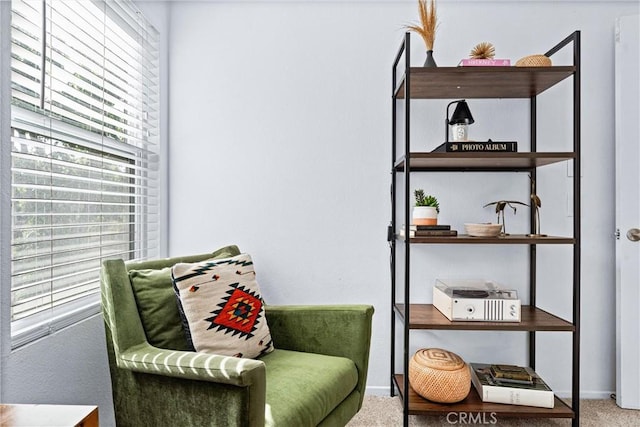 5847 E Rocking Horse Way Unit 21, Orange, CA 92869 - sitting room with carpet and baseboards