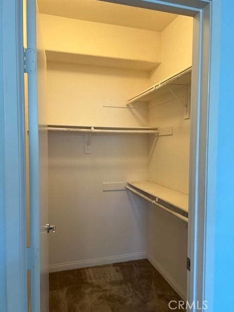 16089 Gables Loop, Whittier, CA 90603 - walk in closet with dark colored carpet