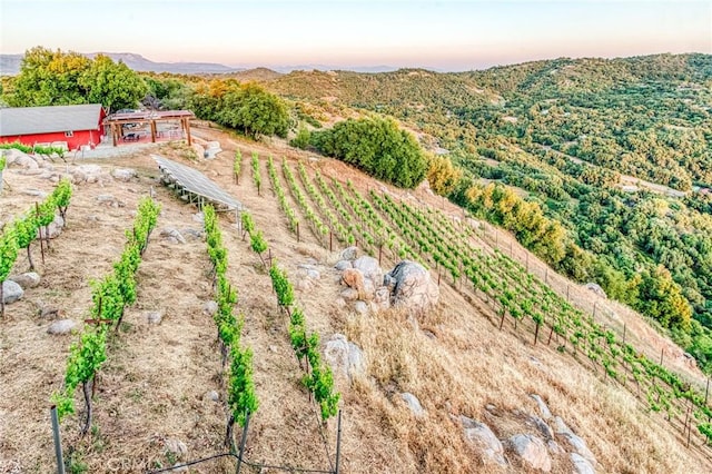 50806 Bramble Ln, Squaw Valley, CA 93675 - yard at dusk featuring agricultural area, a view of rural / pastoral area, an outdoor structure, and a mountain view