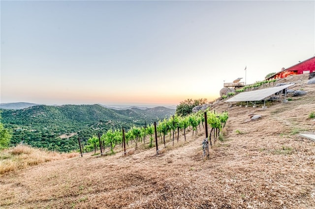 50806 Bramble Ln, Squaw Valley, CA 93675 - view of mountain background