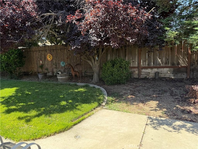 1438 Tumbleweed Ct, Oakdale, CA 95361 - view of yard featuring a patio