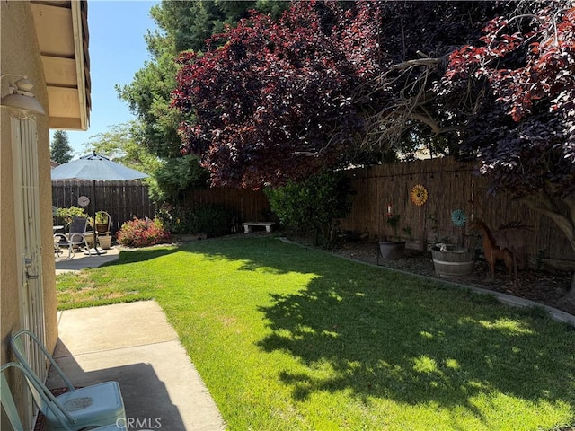 1438 Tumbleweed Ct, Oakdale, CA 95361 - view of yard featuring a patio area