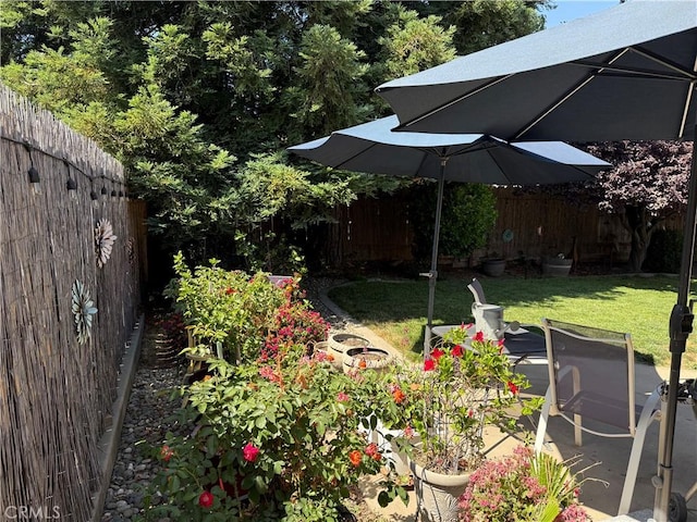 1438 Tumbleweed Ct, Oakdale, CA 95361 - view of yard