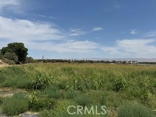 88751 64th Ave, Thermal, CA 92274 - view of nature featuring rural landscape