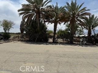 88751 64th Ave, Thermal, CA 92274 - view of yard