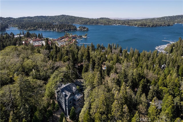 357 Mittry Ln, Lake Arrowhead, CA 92352 - bird's eye view of a forest and a nearby body of water