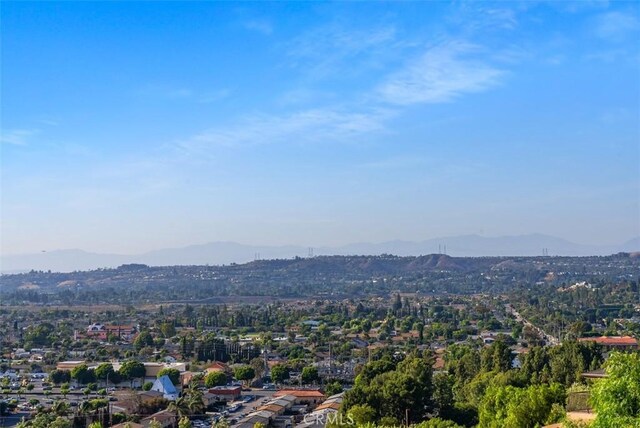 12273 Baja Panorama, North Tustin, CA 92705 - photo 14